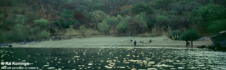 Londo Bay, Lake Malawi, Mozambique