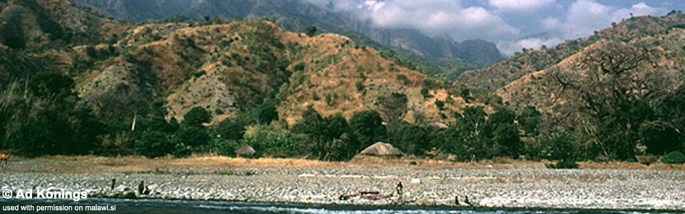 Msisi, Lake Malawi, Tanzania