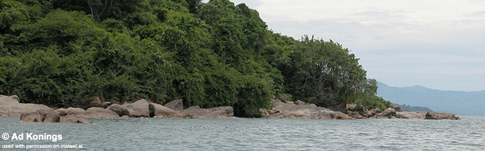 Ndumbi Point, Lake Malawi, Tanzania