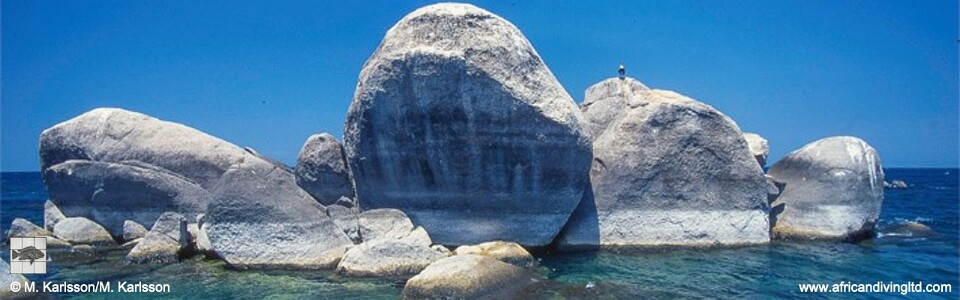 Sambia Reef (Luhuchi Rocks), Lake Malawi, Tanzania