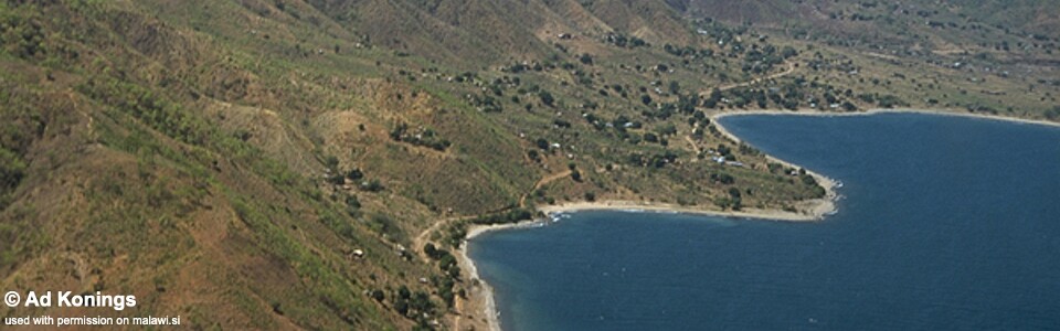 Selewa, Lake Malawi, Malawi