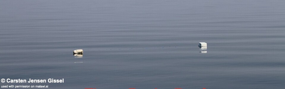 Three Peaks Reef, Lake Malawi, Malawi
